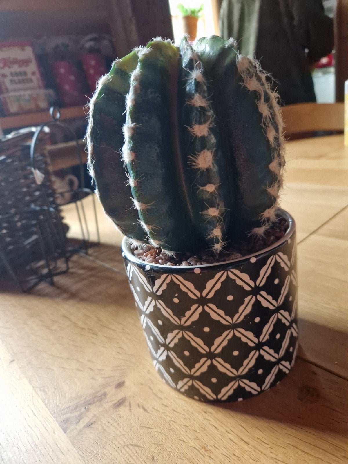NEP CACTUS IN POT, Ophalen of Verzenden