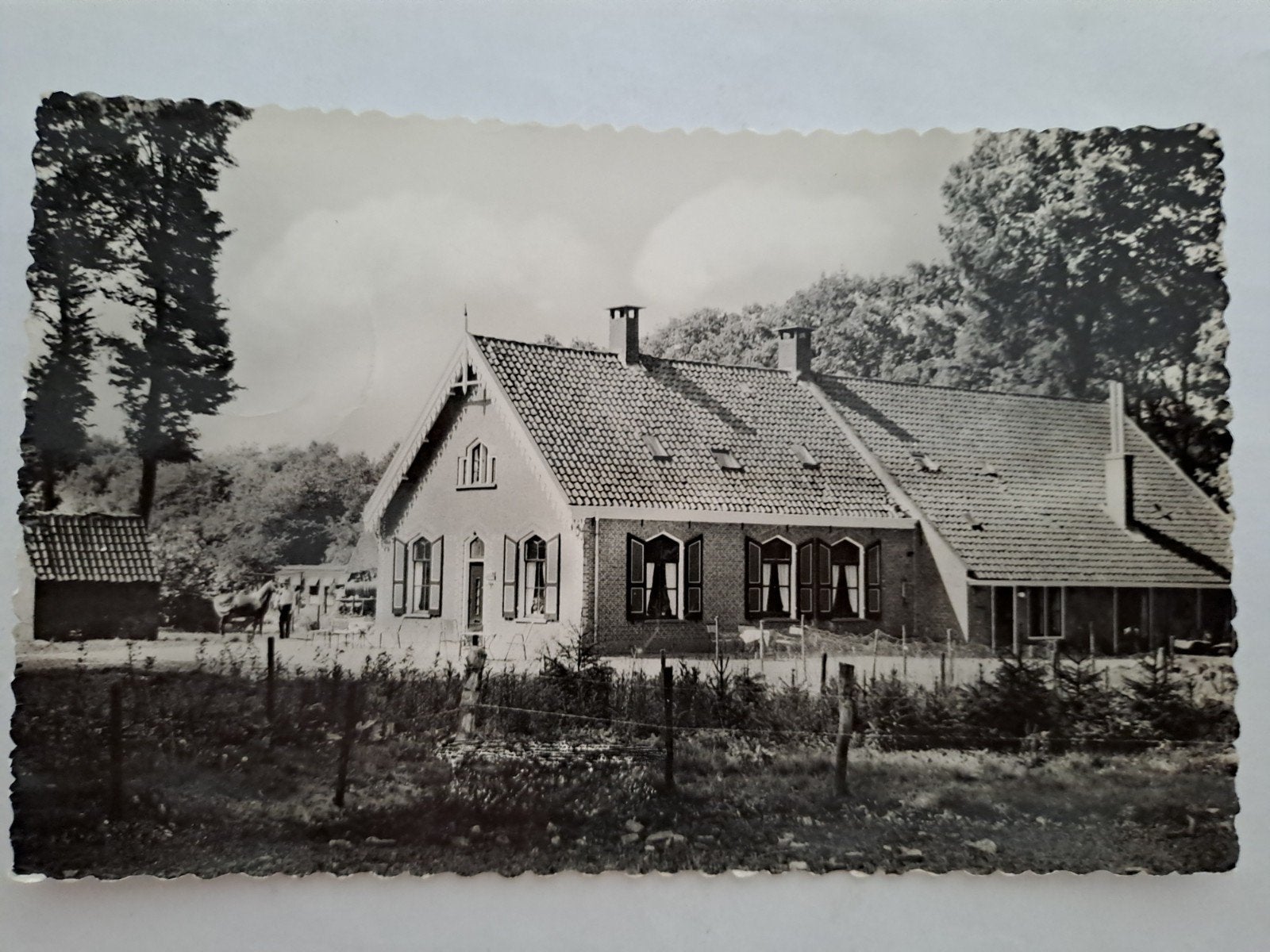 soestduinen*, Ophalen of Verzenden