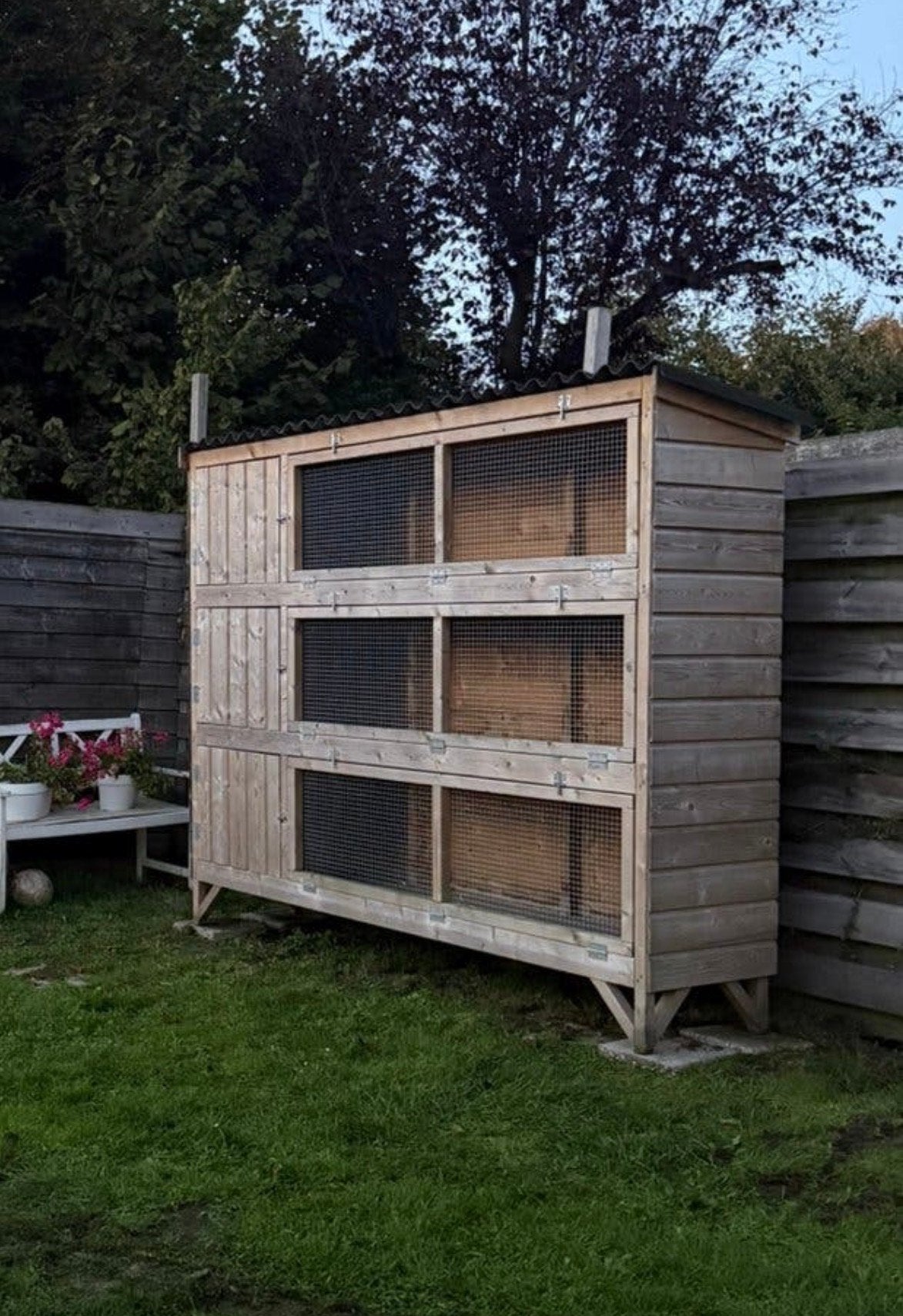 Prachtig grote konijnenflat, Ophalen, 110 cm of meer, Zo goed als nieuw, 90 cm of meer