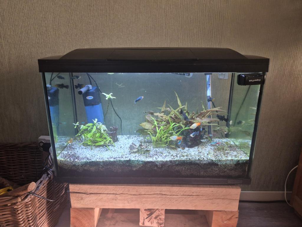 Aquarium compleet, Dieren en Toebehoren, Vissen | Aquaria en Toebehoren, Ophalen, Zo goed als nieuw, Leeg aquarium