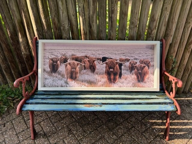 Cadeautip! Vogelvoederlijst met Schotse Hooglanders, Ophalen, Nieuw