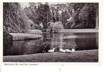 Ansichtkaart	Lonneker	Villa De Welle	Landgoed Het Amelink, Verzenden, 1940 tot 1960, Ongelopen, Overijssel