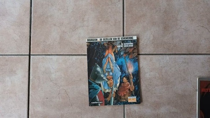 De Gezellen van de Bescherming - Bourgeon (Casterman), Eén stripboek, Ophalen of Verzenden, Gelezen, François Bourgeon