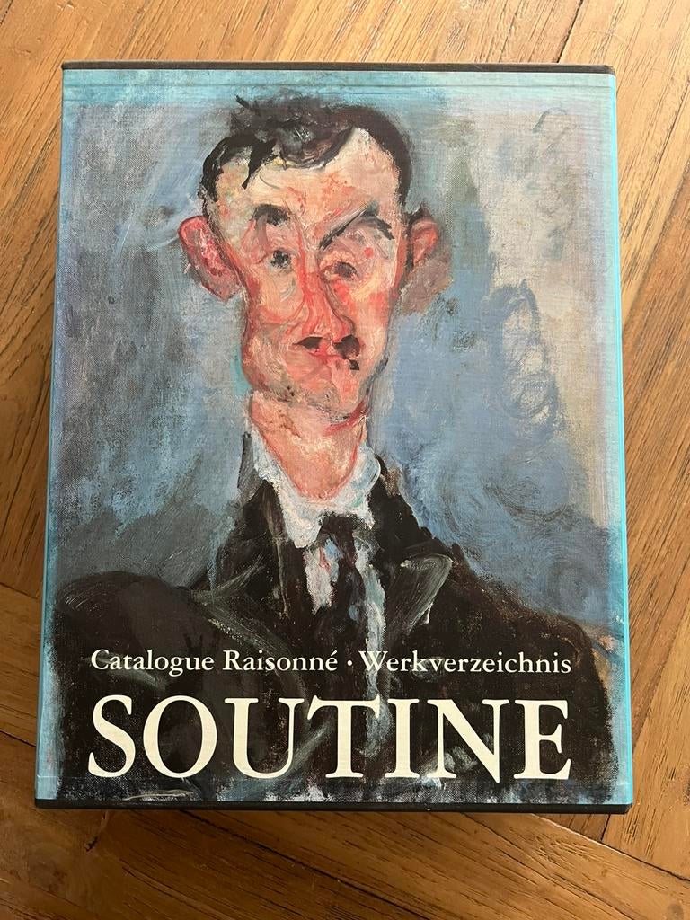 Chaim soutine 2 delig, Boeken, Ophalen of Verzenden, Gelezen, Schilder- en Tekenkunst