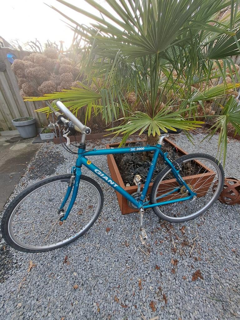 Giant X-2000 Crossfiets Vintage, Fietsen en Brommers, Fietsen | Crossfietsen en BMX, Ophalen, Gebruikt, Aluminium, 24 inch of meer