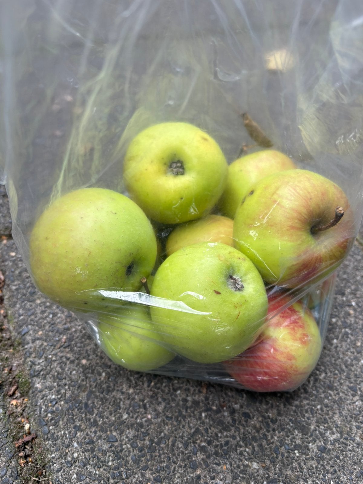 Te koop heerlijke zoet/zure appels cox orange onbespoten, Ophalen