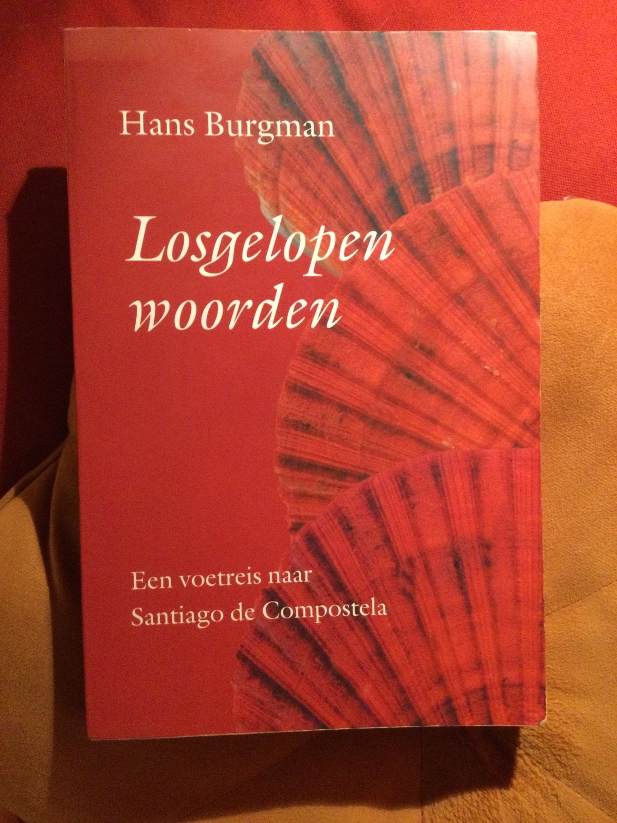 HANS BURGMAN.  LOSGELOPEN WOORDEN, Ophalen of Verzenden, Gelezen