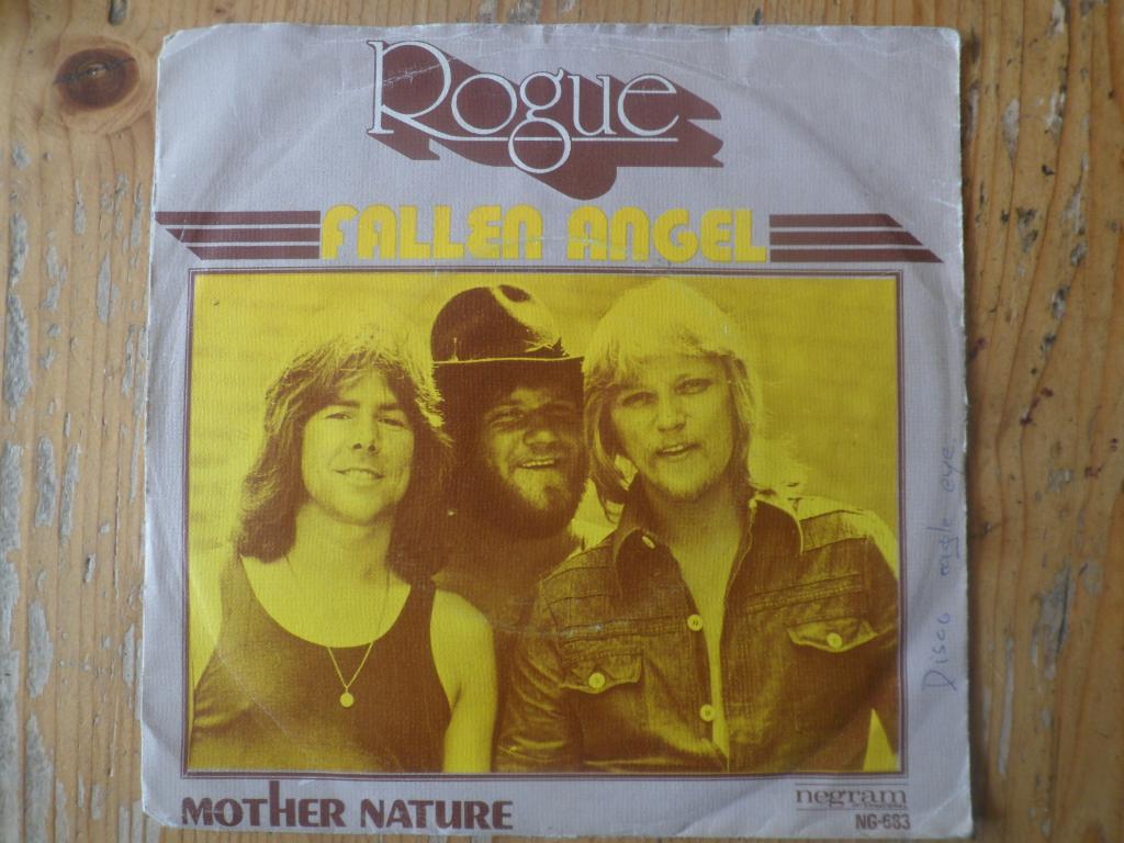 Rogue, Ophalen of Verzenden, Gebruikt, Pop