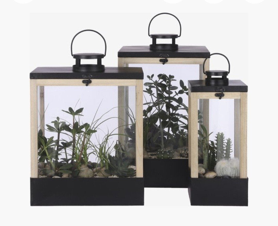 2 stuks Mica Decorations Lantaarn of Plantenkas, Huis en Inrichting, Ophalen, Overige soorten, Halfschaduw, Minder dan 100 cm