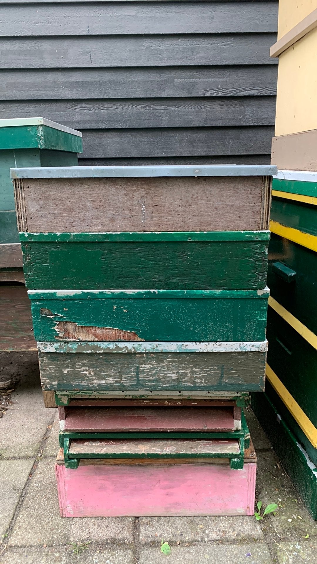 4 deksels spaarkast opknappers, Dieren en Toebehoren