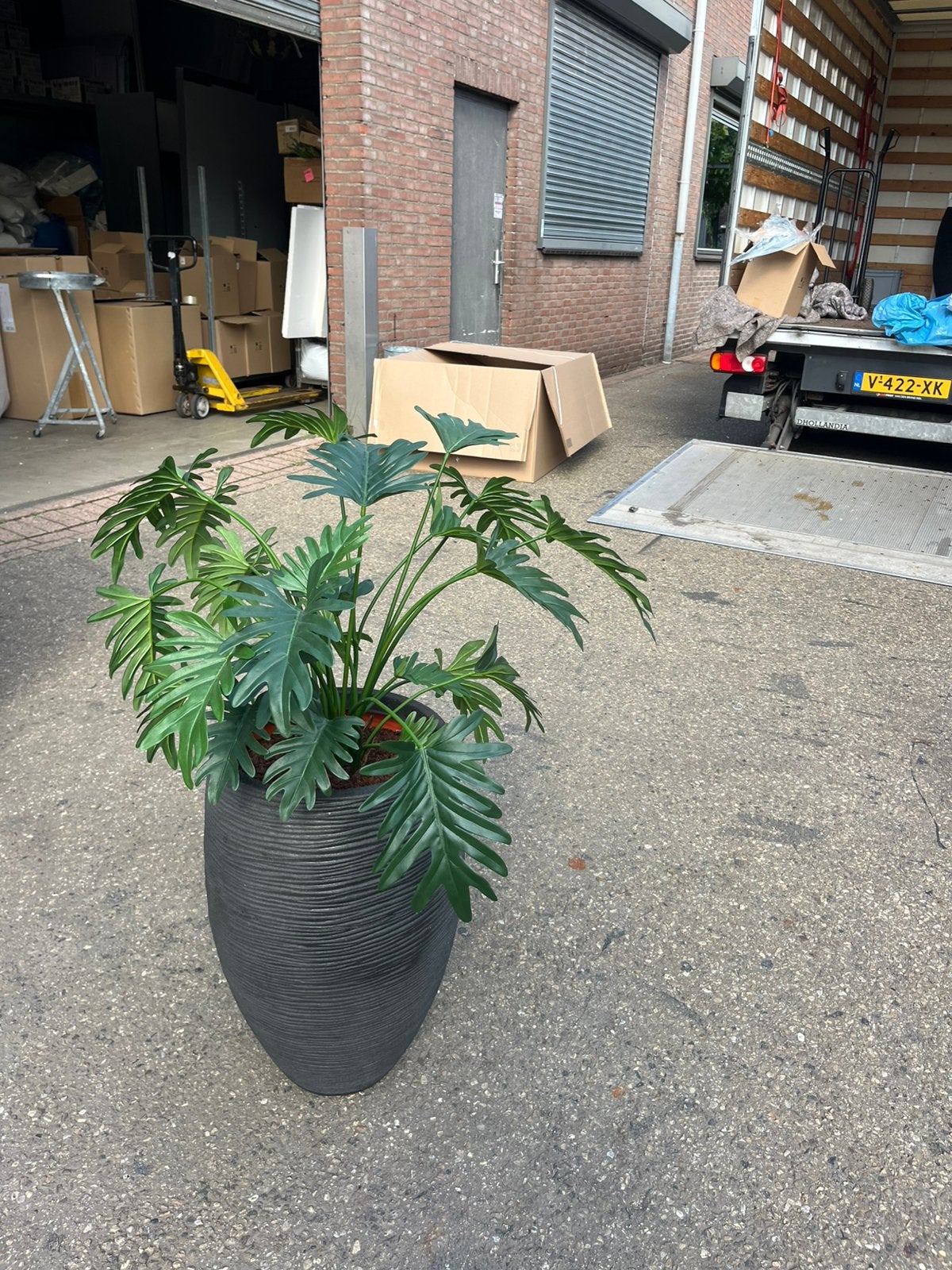 Plantenbak + kunstplant, Ophalen of Verzenden, Zo goed als nieuw, Rond, Minder dan 30 cm