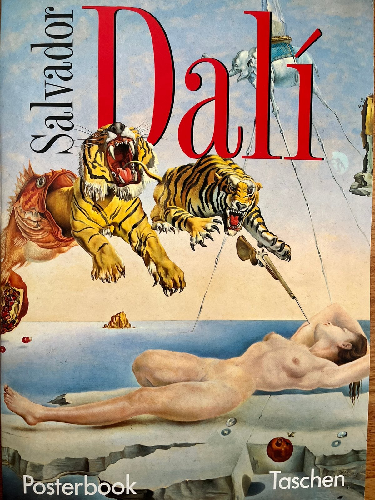 SALVADOR DALÍ  . —  KUNSTFOTOBOEK.  —. 1992., Antiek en Kunst, Ophalen of Verzenden