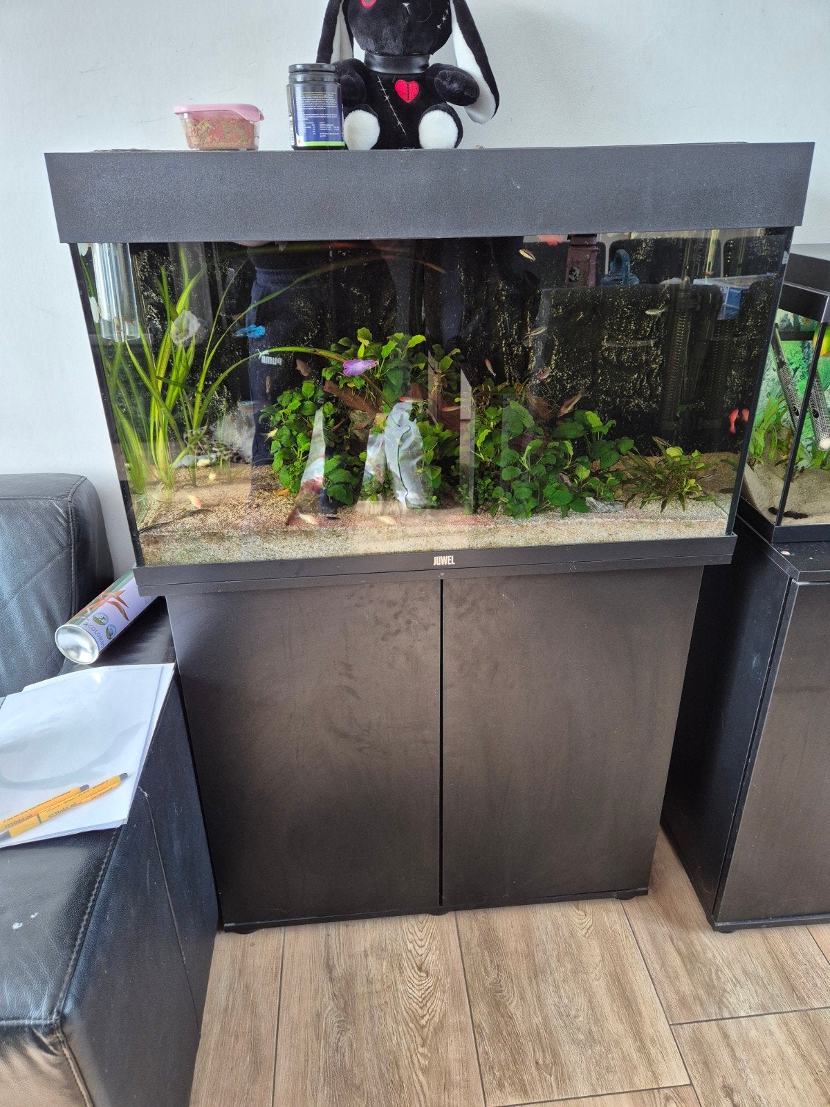 Lege juwel rio 120 met serra daylight verlichtingssysteem, Ophalen, Zo goed als nieuw, Leeg aquarium, Inclusief deksel