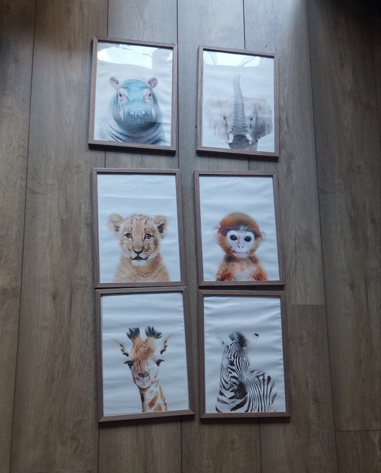 Set van 6 ingelijste dierenprints, Minder dan 50 cm, Ophalen of Verzenden, 5 – 50, Print