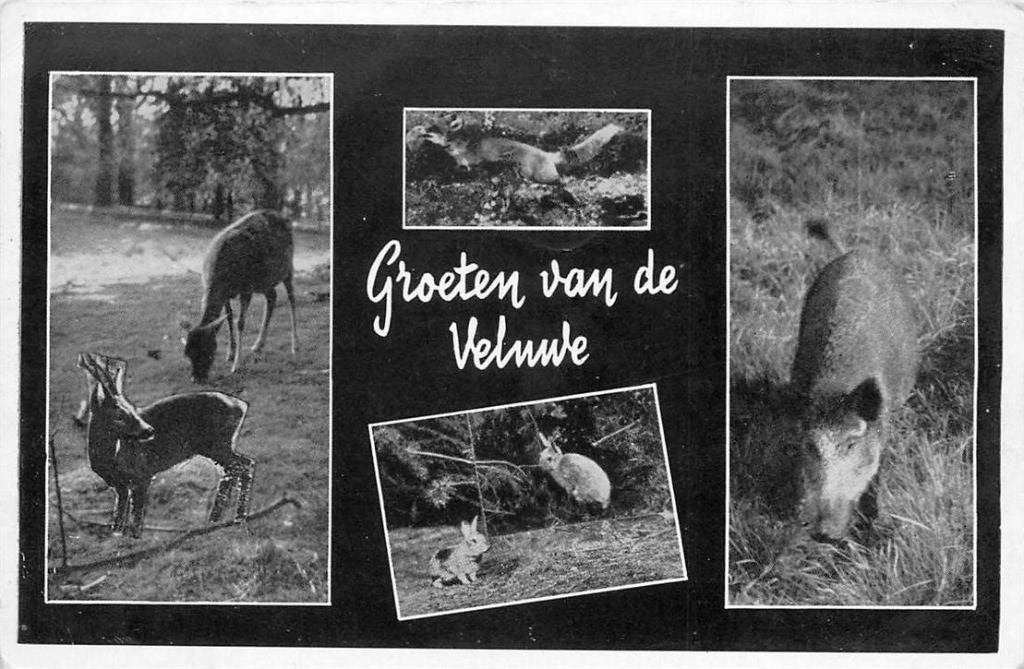 388-474-001 Veluwe, Verzenden, Voor 1920, Gelderland