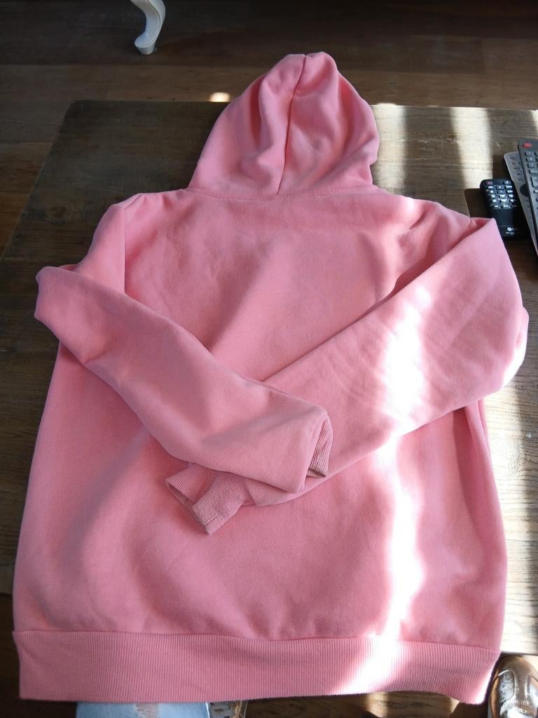 Leuke roze hoodie maat xs nu €2.00, Kleding | Dames, Ophalen, Primark, Roze, Maat 34 (XS) of kleiner