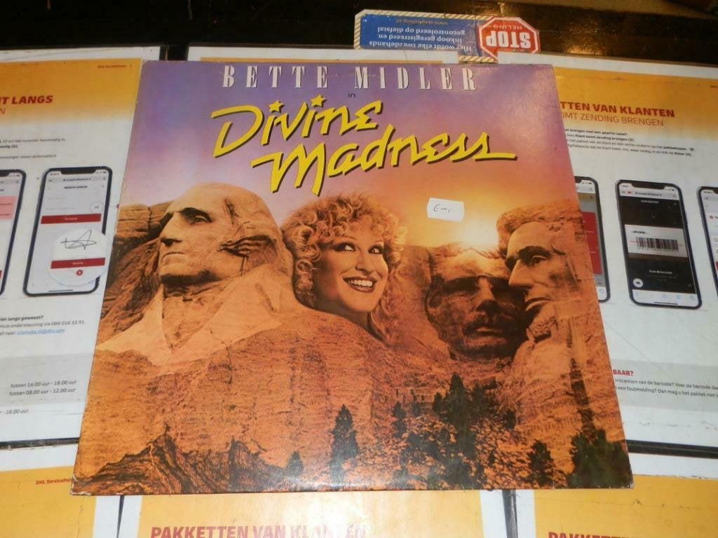 Lp Bette MIdler Divine madness 1980, Cd's en Dvd's, Vinyl | Pop, Ophalen of Verzenden, Gebruikt, 12 inch
