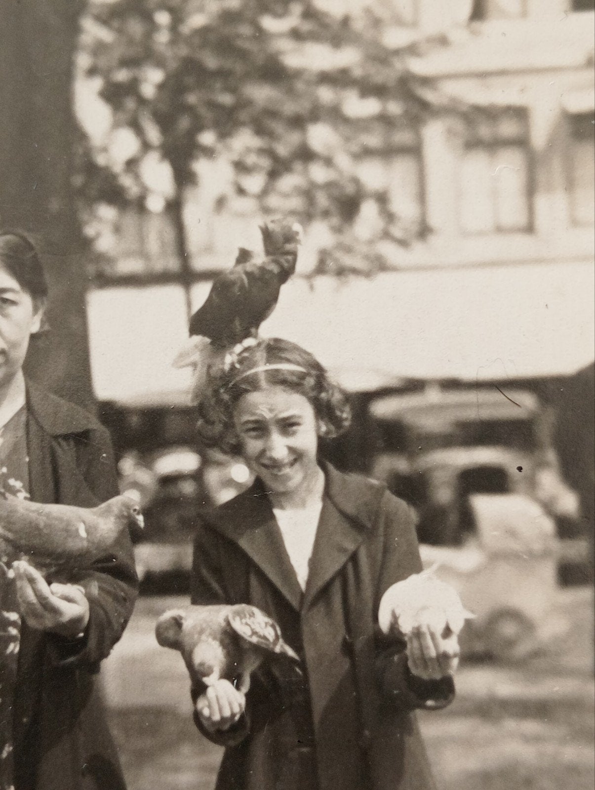 Maastricht fotokaart 1936 duiven voeren, Ophalen of Verzenden, Voor 1940, Gebruikt