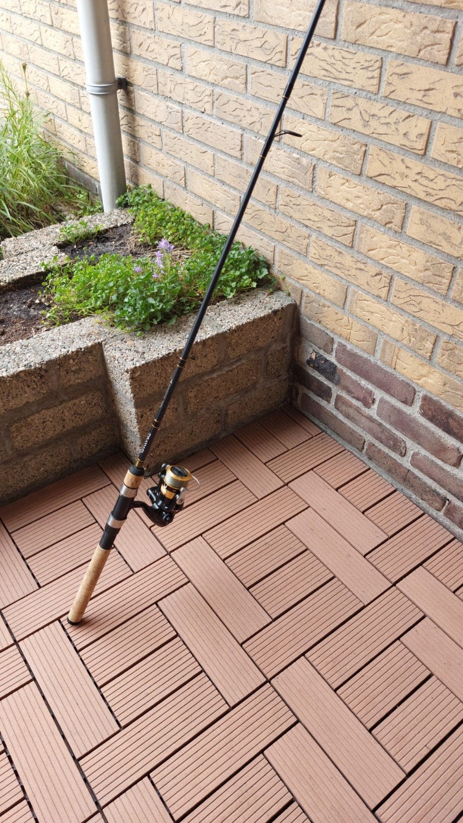 2 Stuks Daiwa F602ml spinning rod combo (nieuw), Ophalen, Nieuw, Werphengel