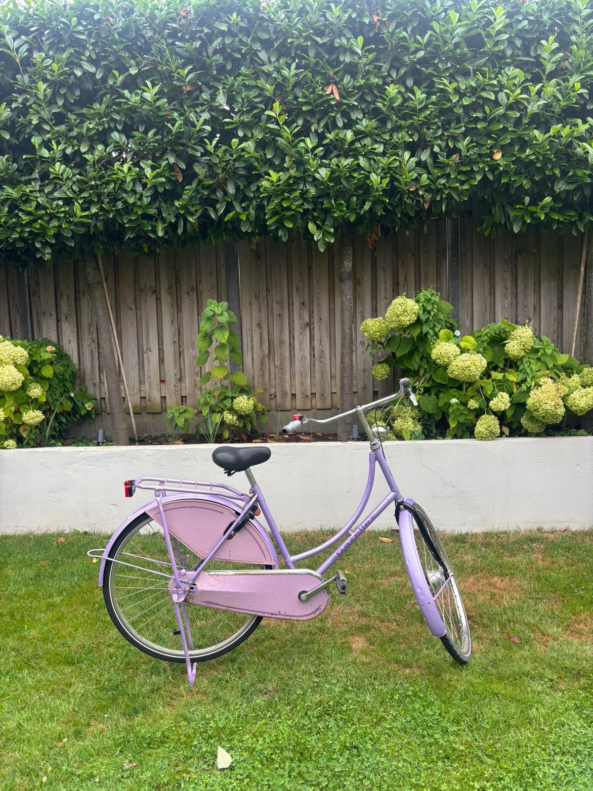 Gazelle omafiets, Ophalen, Terugtraprem, Handrem, 53 tot 56 cm