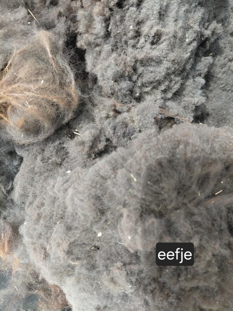 Alpacawol, Wol, 120 cm of meer, Ophalen of Verzenden, Nieuw