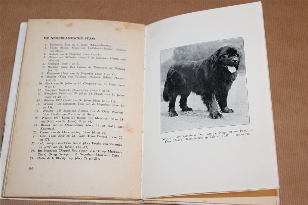 De New-Foundlander — Vintage Boek Zeldzaam [1953], Ophalen of Verzenden, Gelezen, Honden