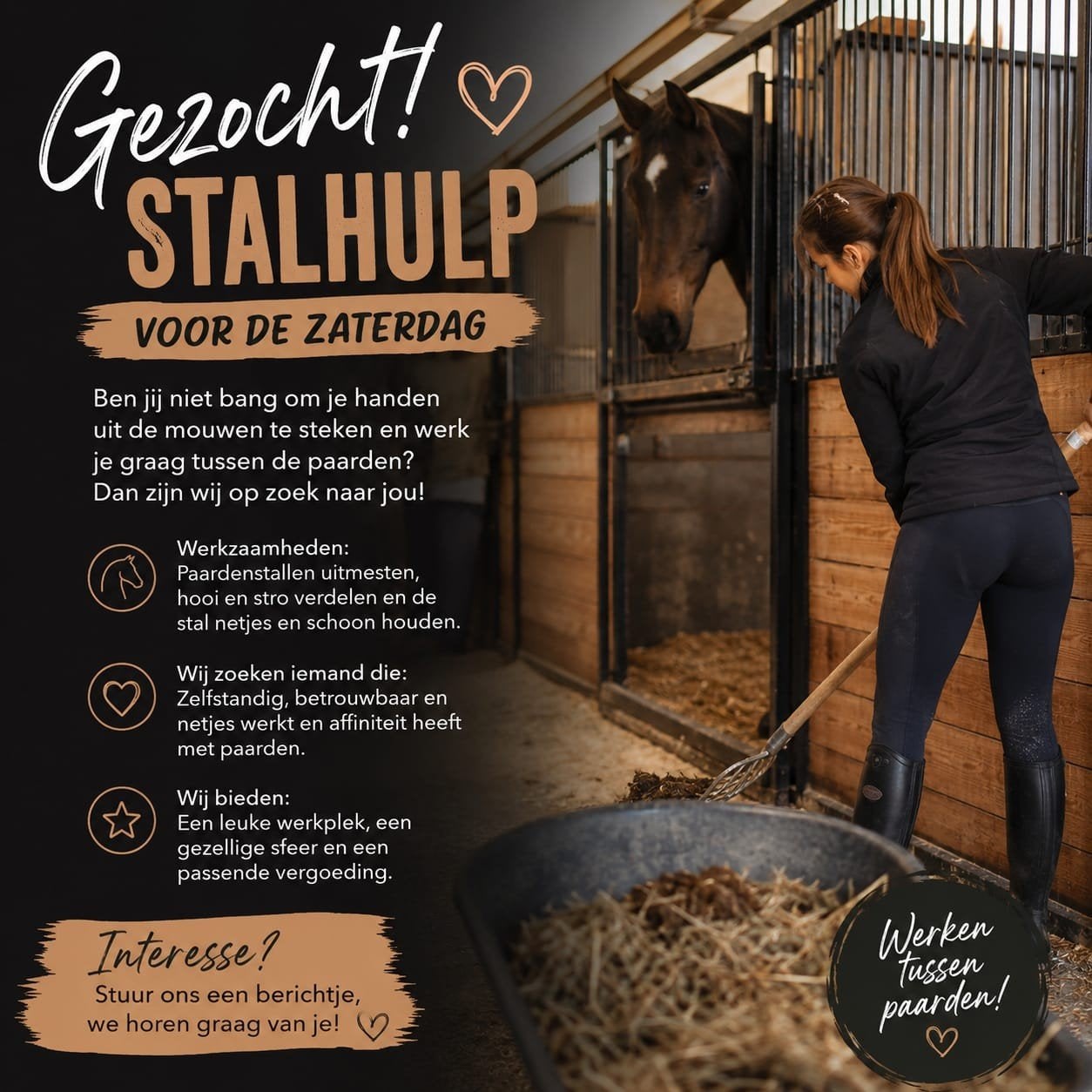 Gezocht stalhulp Chaam., Diensten en Vakmensen, Dieren | Paarden | Verzorging, Oppas en Les