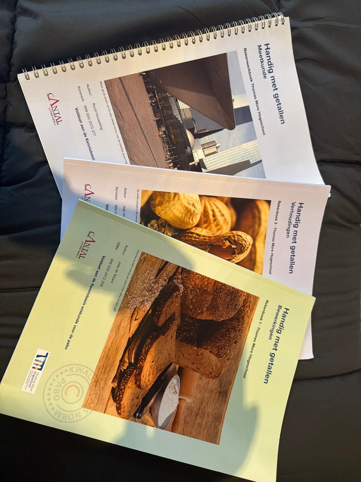 Handig met getallen - Rekenboeken Thomas More Hogeschool, Ophalen of Verzenden, Zo goed als nieuw, Overige niveaus, Wiskunde A