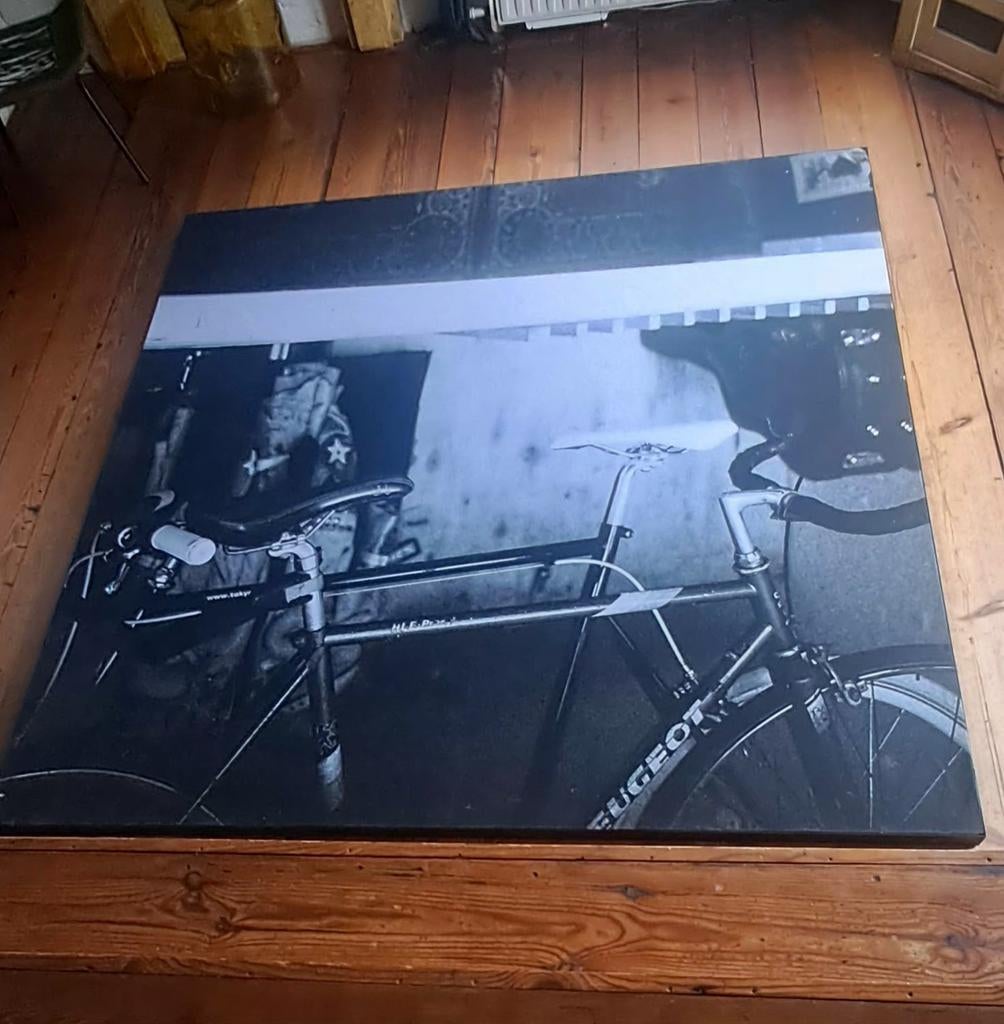 Frame met 2 foto linnen doeken ( 2x 2 mtr), Ophalen of Verzenden, Gebruikt, 75 tot 100 cm, Print