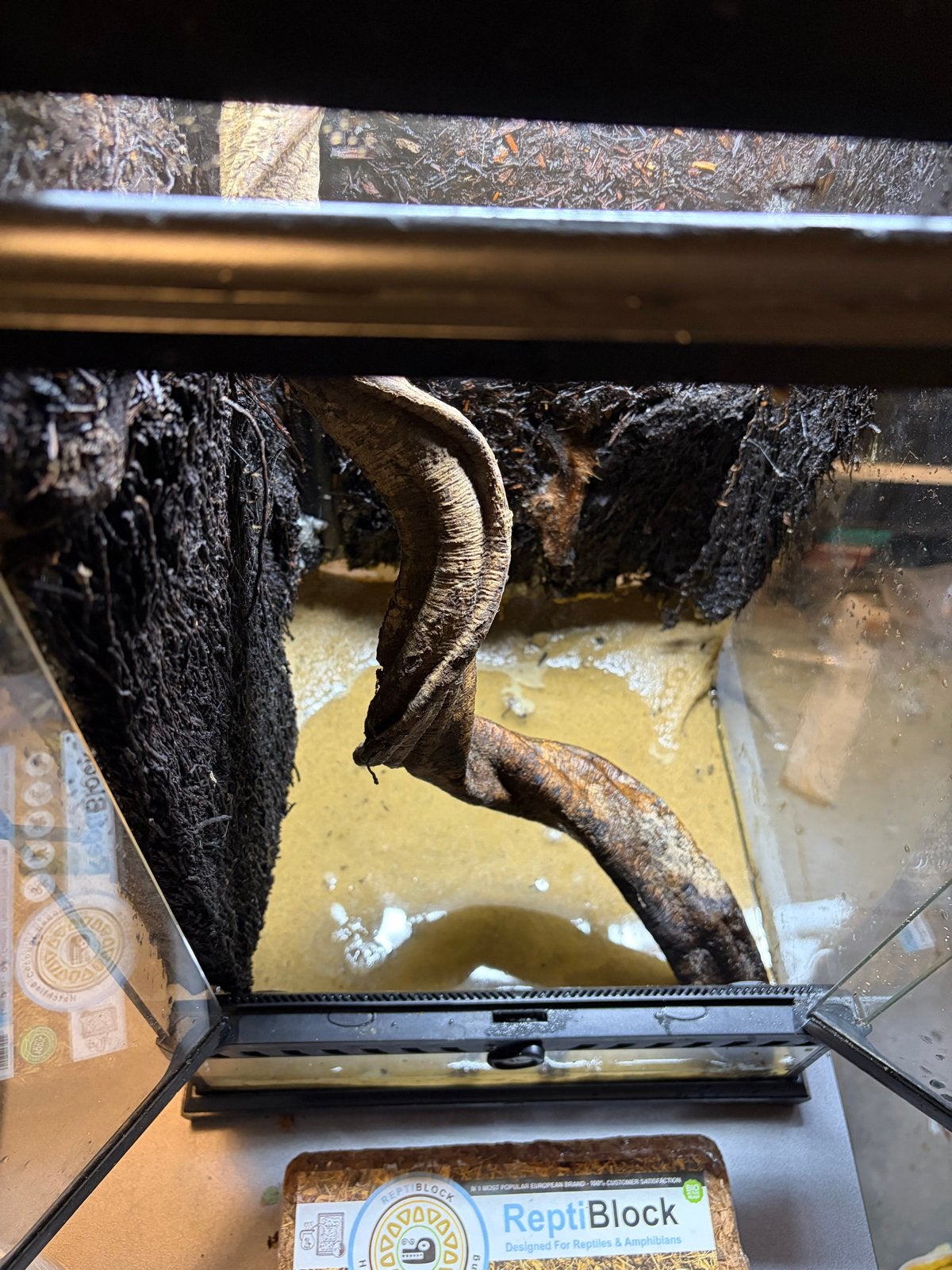 Exo terra paludarium 30x30x45 incl varenwortel achterwand, Ophalen of Verzenden, Zo goed als nieuw, Terrarium of Paludarium