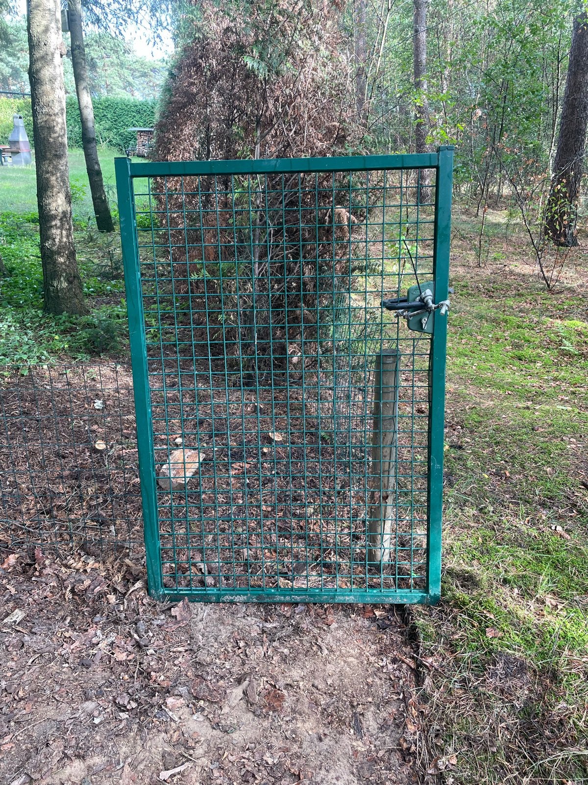 Groen gaashekwerk poortje met slot, 145x100 cm, Ophalen, Met poort, Gebruikt, Gaashekwerk