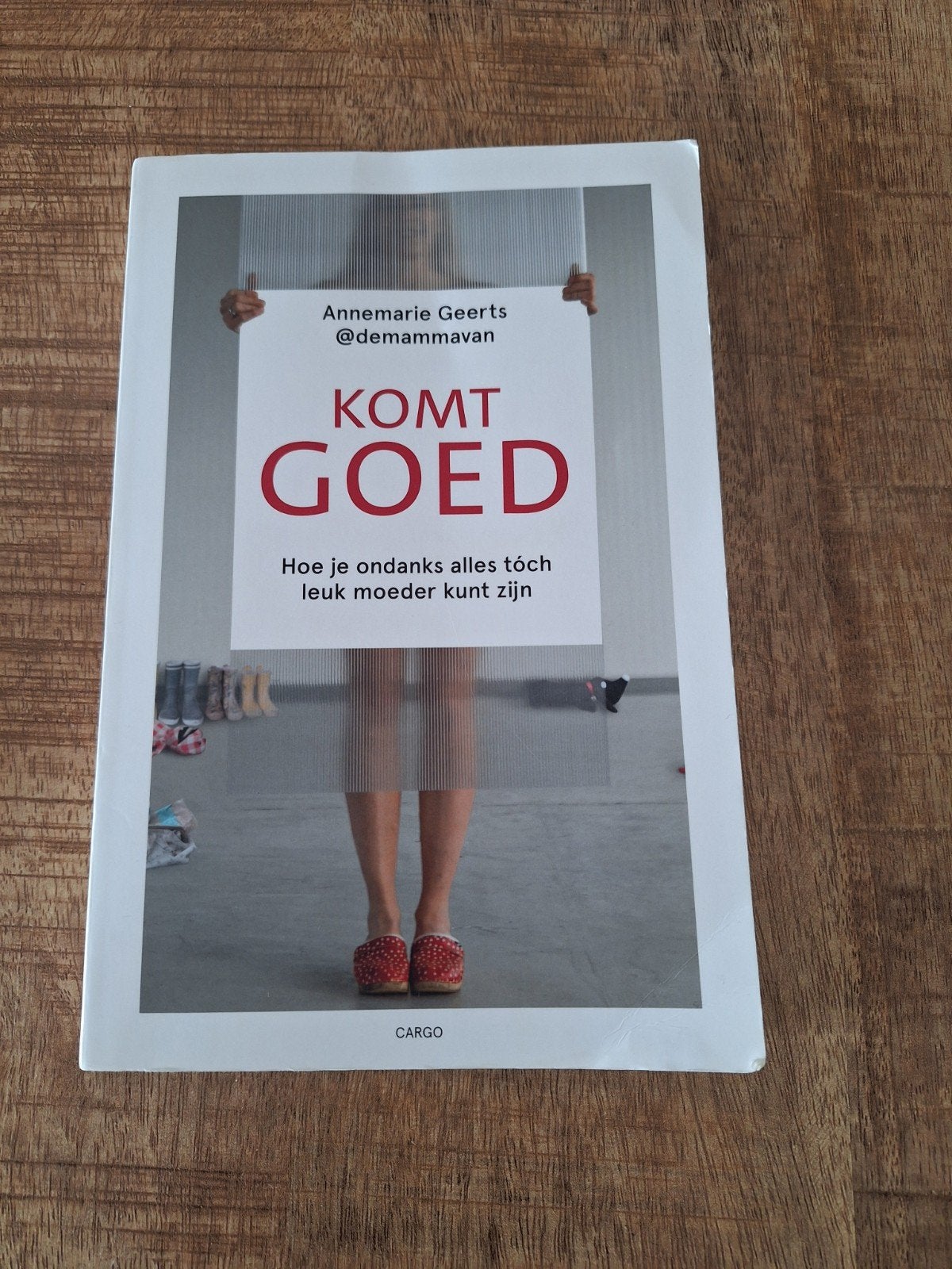 Leuk boek; Komt goed, Boeken, Ophalen, Zo goed als nieuw, Annemarie Geerts