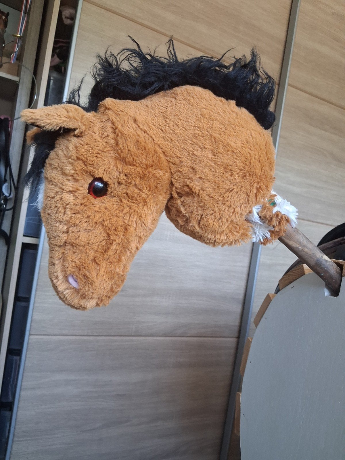 Super schattig hobbyhorse veulen, Ophalen, Jongen of Meisje