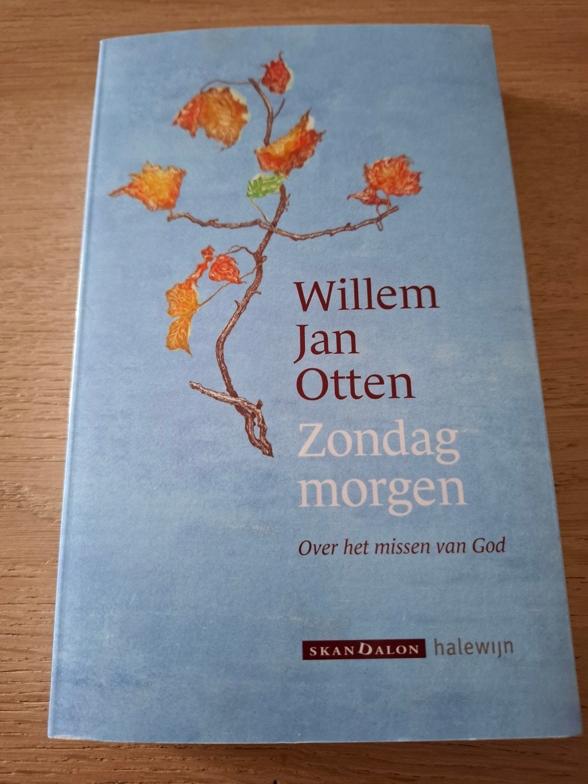 Willem Jan Otten - Zondag morgen: Over het missen van God, Achtergrond en Informatie, Spiritualiteit algemeen, Willem Jan Otten