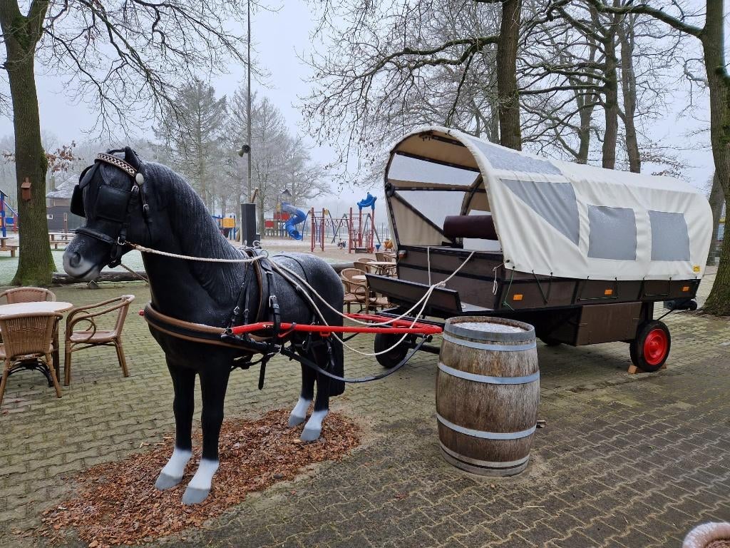 Prachtige Huifkar en mentuig paard, Zo goed als nieuw, Overige typen, Paard of Pony