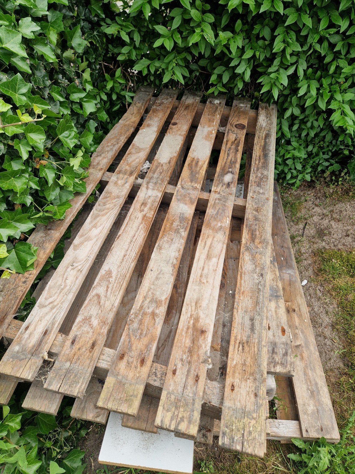 Gratis: 4 gebruikte houten pallets voor diverse doeleinden, Ophalen, Gebruikt, Pallet, Minder dan 200 cm