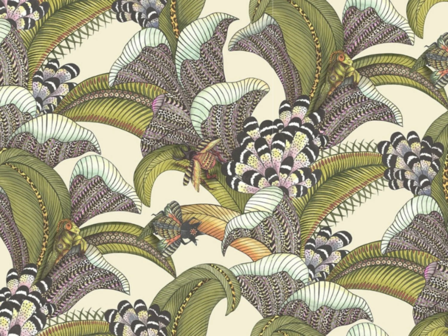 Behang Cole and Son, Hoopoe leaves. 2 rollen nieuw., Ophalen of Verzenden