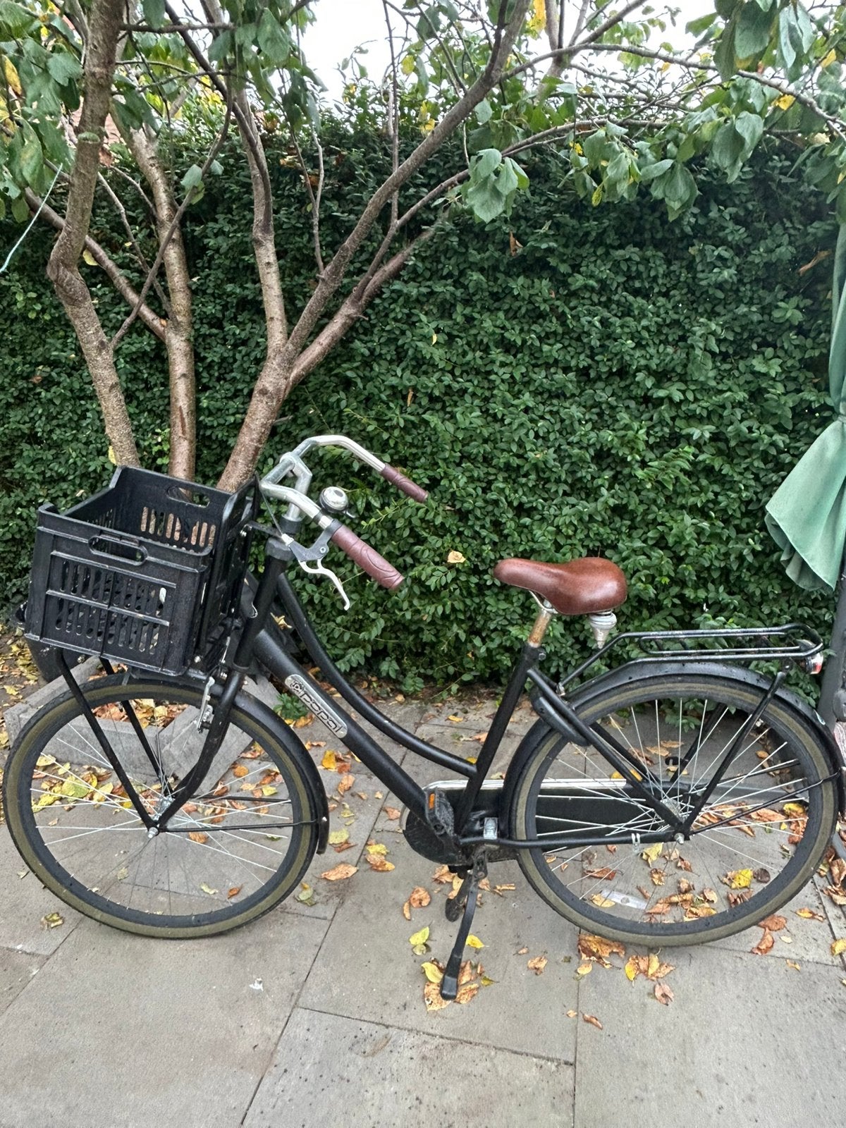Popal damesfiets, Ophalen, Gebruikt, Overige merken
