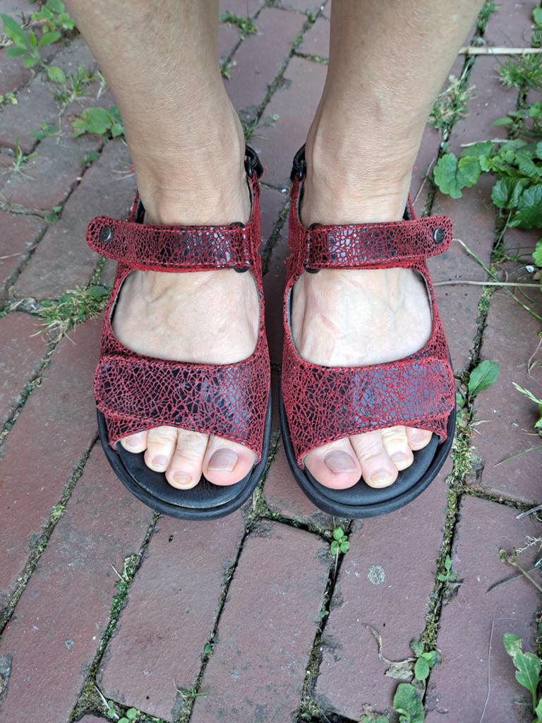 Wolky sandalen rood Maat 37, Kleding | Dames, Schoenen, Ophalen of Verzenden, Zo goed als nieuw, Rood, Sandalen of Muiltjes