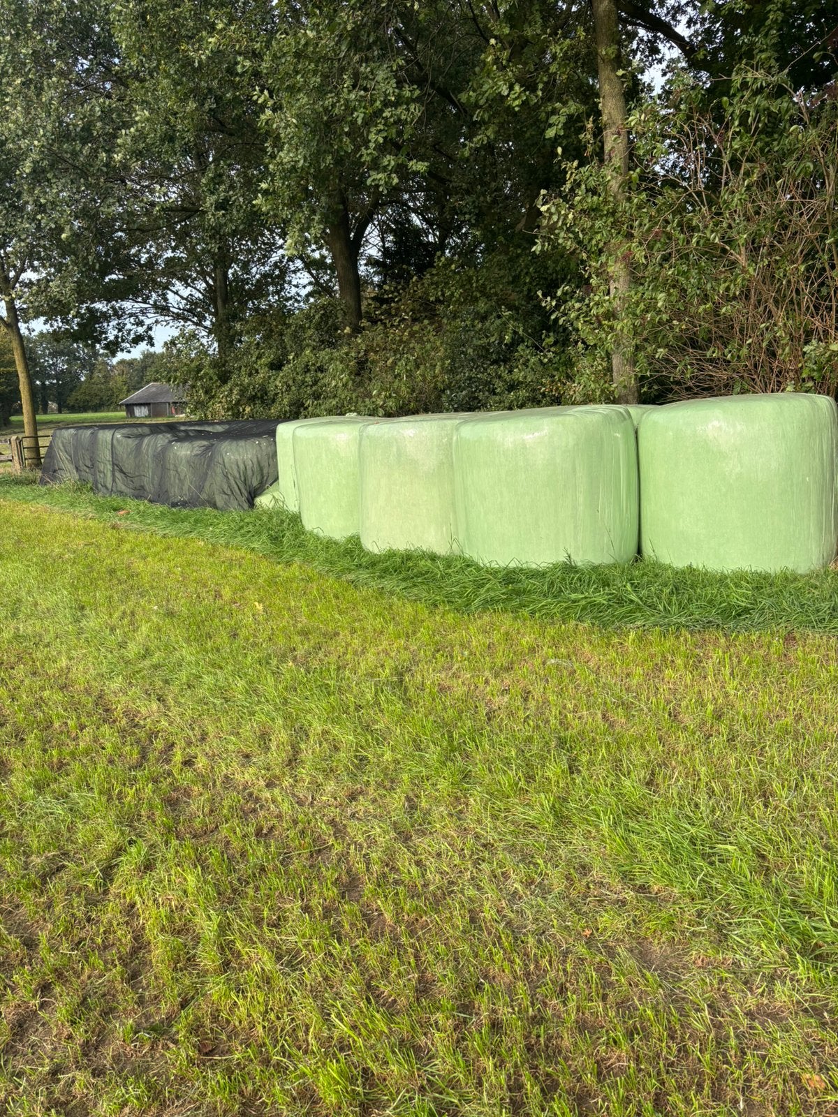 Hooi/gras balen, Ophalen, Vee