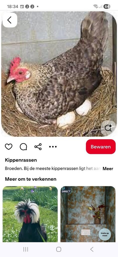 Te huur broedkooi, Ophalen, Overige typen