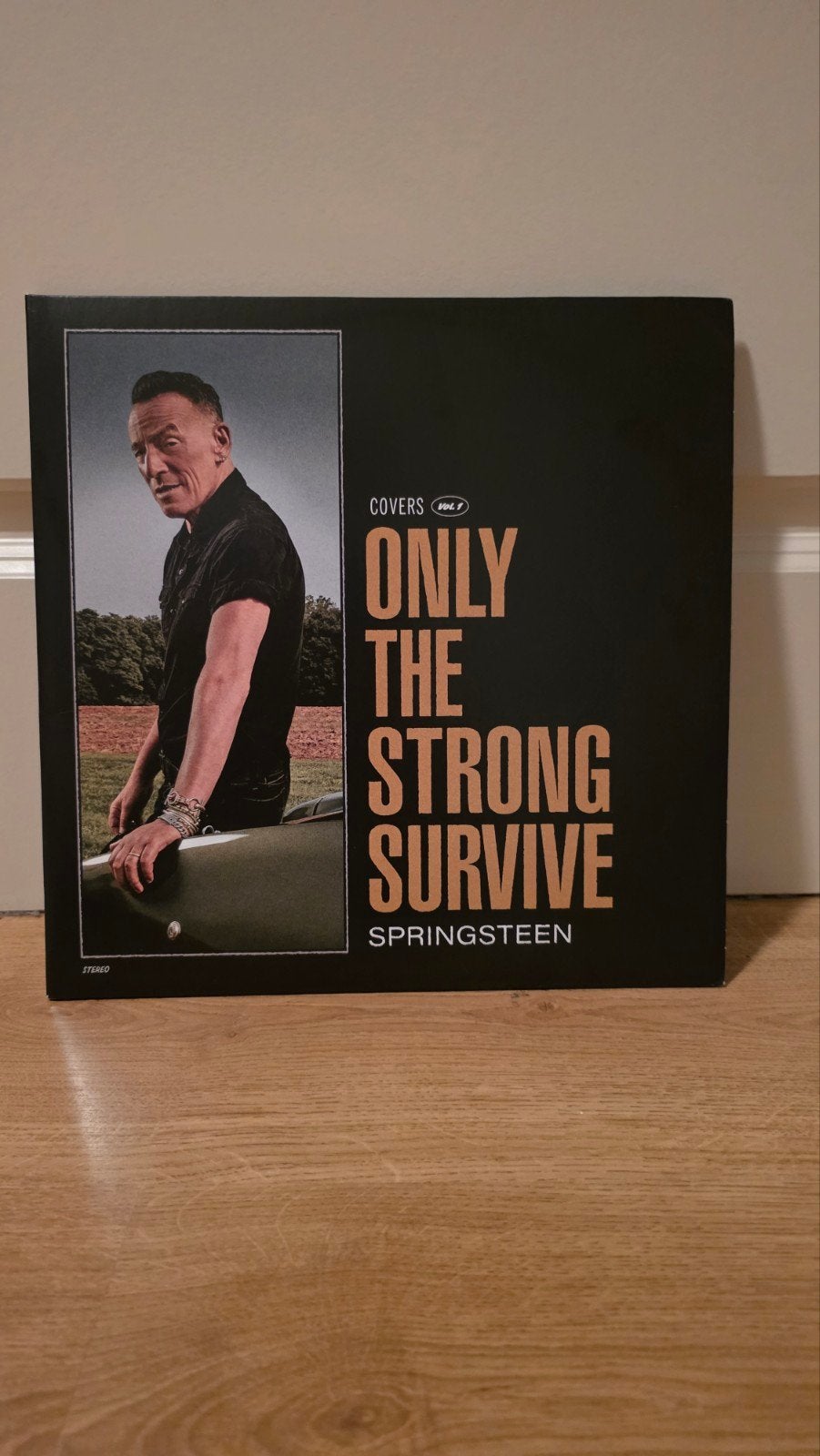 Bruce Springsteen - Only The Strong Survive LP
