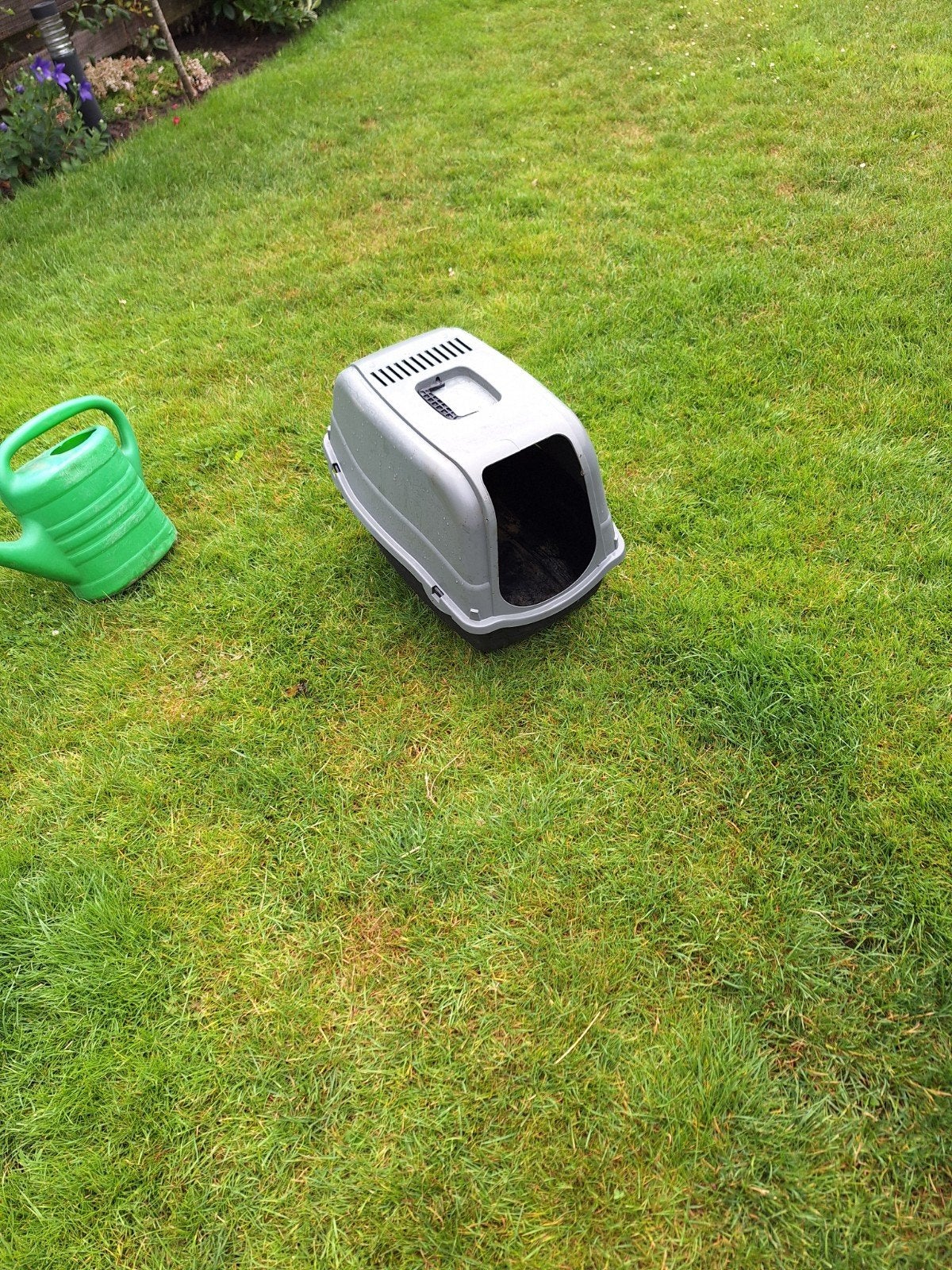 Gratis ophalen leuke kattenbak, Dieren en Toebehoren, Ophalen