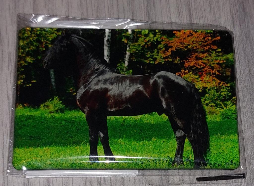 Nieuwe Koelkastmagneet Fries Paard, Ophalen of Verzenden, Nieuw