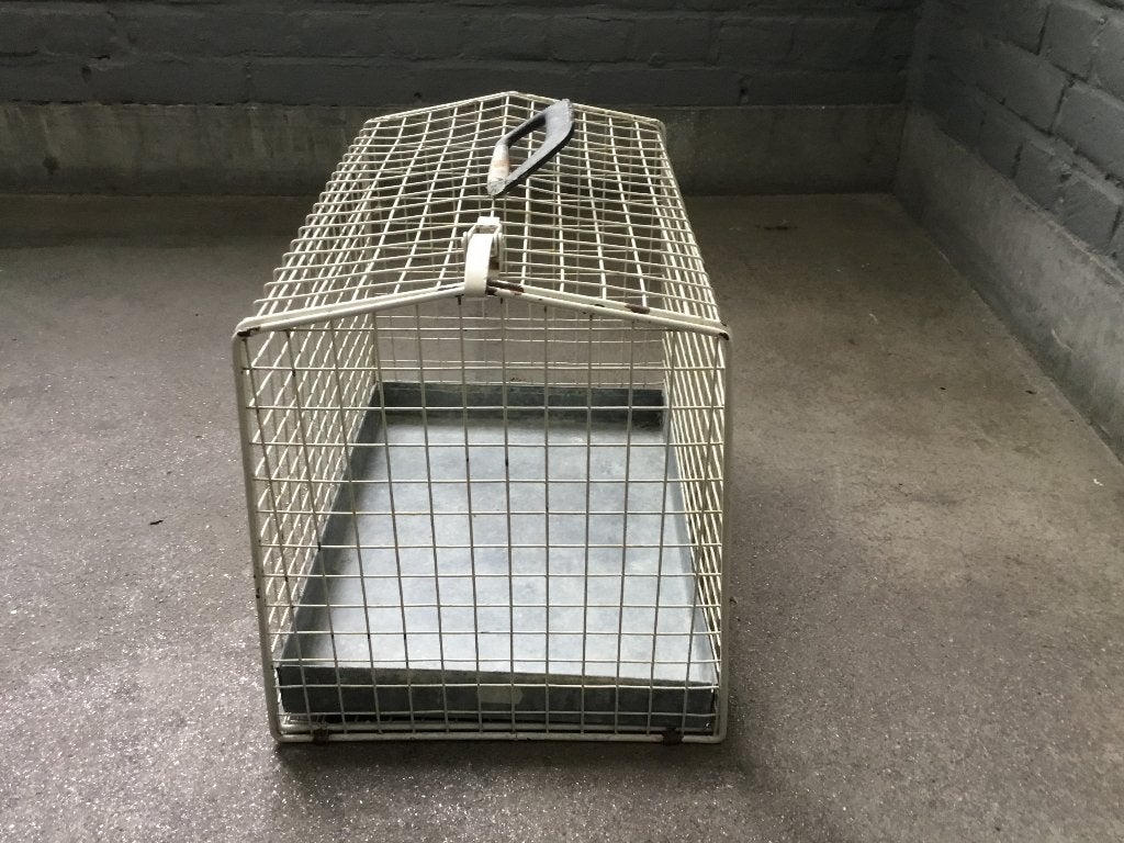 Kleine bench om huisdieren te vervoeren, Kooi, Gebruikt, Minder dan 75 cm, Hamster