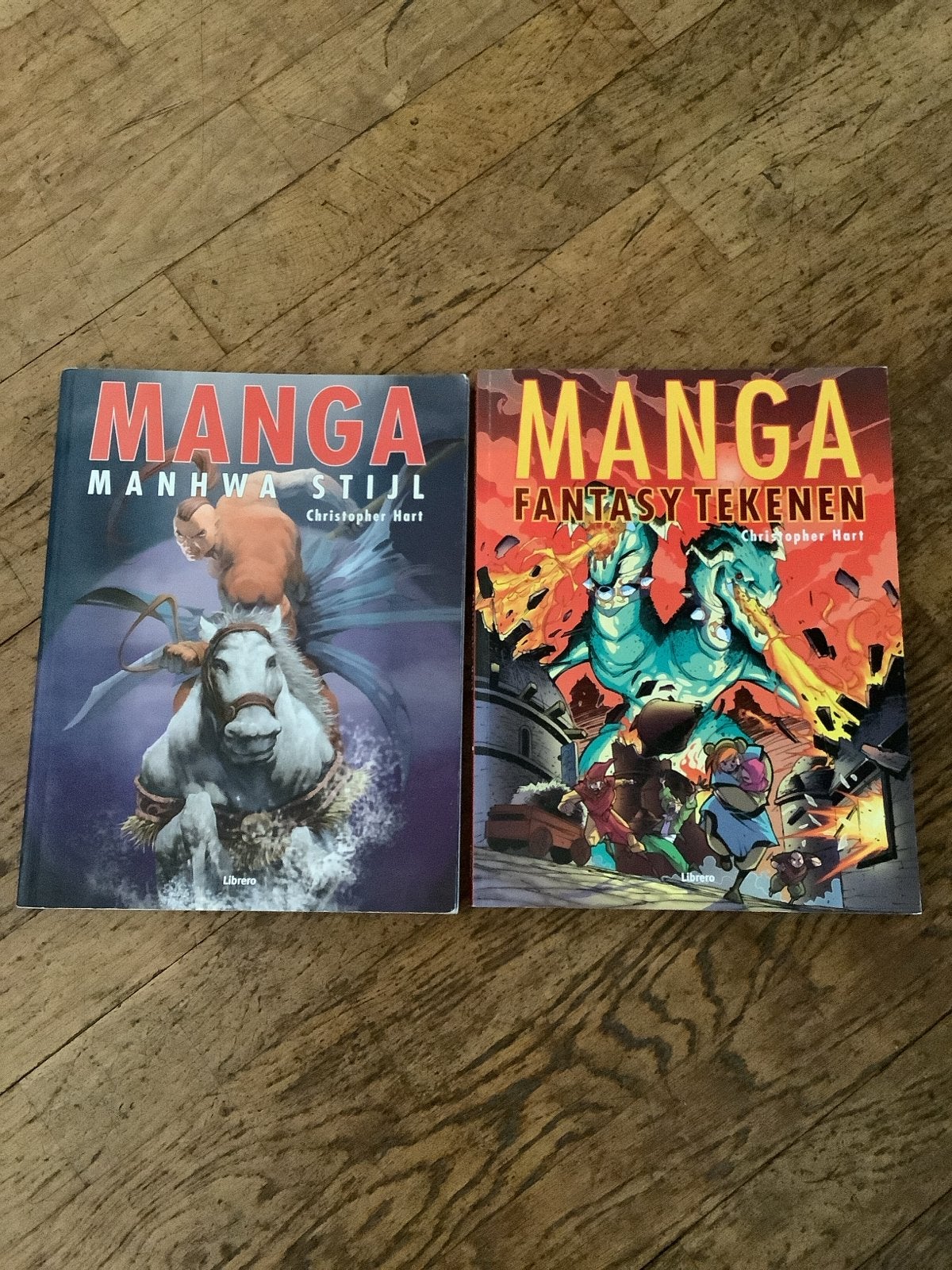 Manga Tekenboeken: Manhwa Stijl & Fantasy Tekenen, Ophalen of Verzenden, Zo goed als nieuw, Boek of Gids