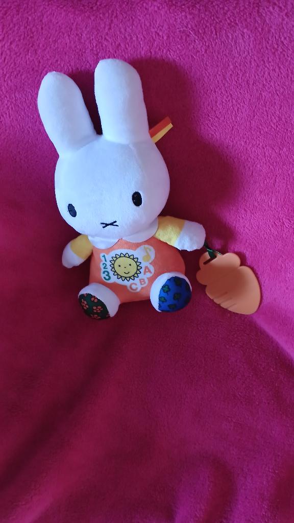 NIJNTJE KNUFFELS & NIJNTJE SPULLETJES, Ophalen of Verzenden, Zo goed als nieuw, Konijn