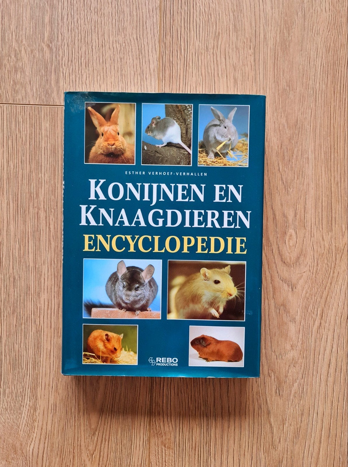 Konijnen en knaagdieren encycl.- Esther Verhoef-Verhallen, Boeken, Ophalen of Verzenden, Zo goed als nieuw, Dieren, Los deel