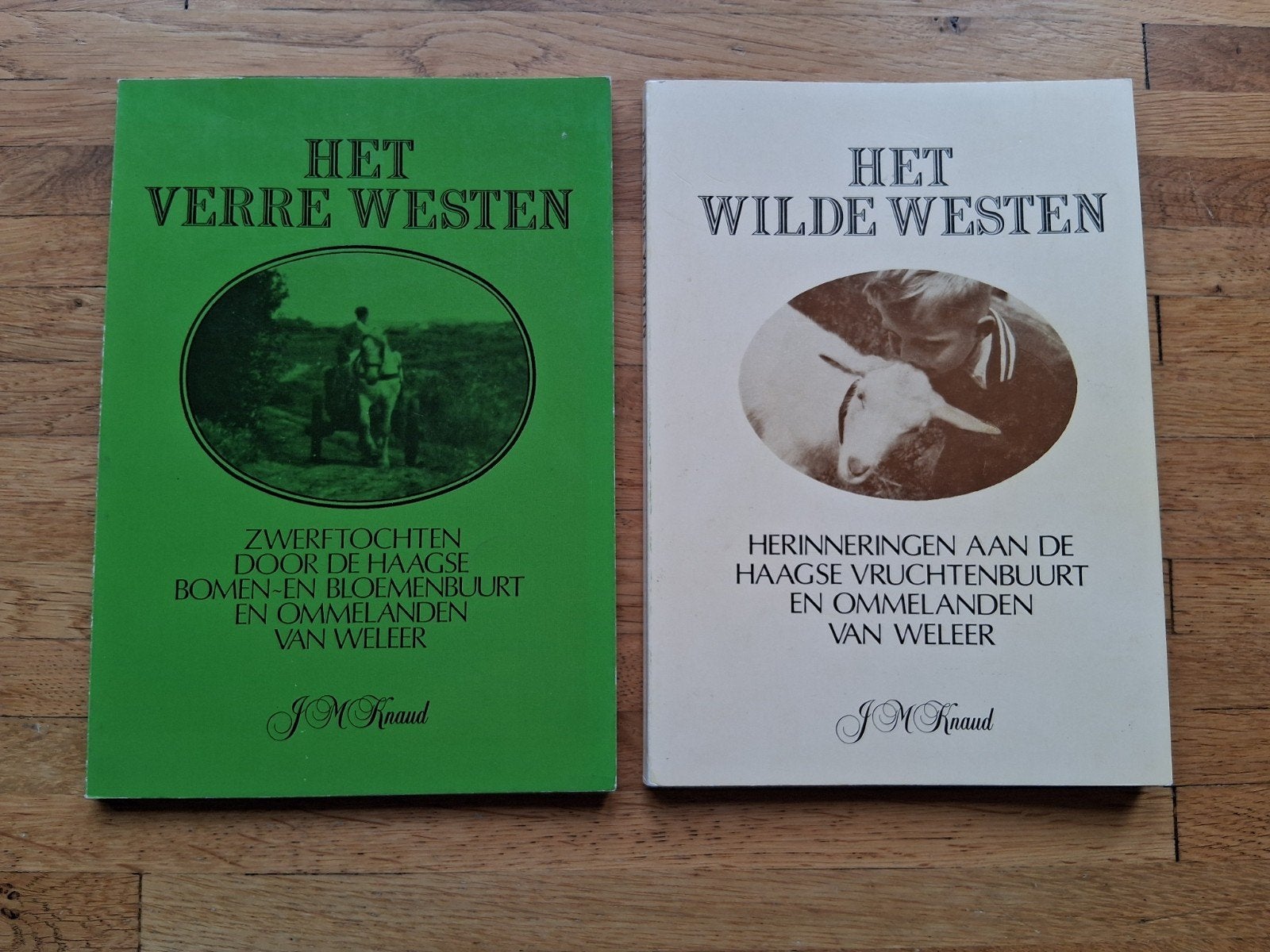 2 boekjes de de haagse geschiedenis verteld in woord en beel, Ophalen of Verzenden, Zo goed als nieuw