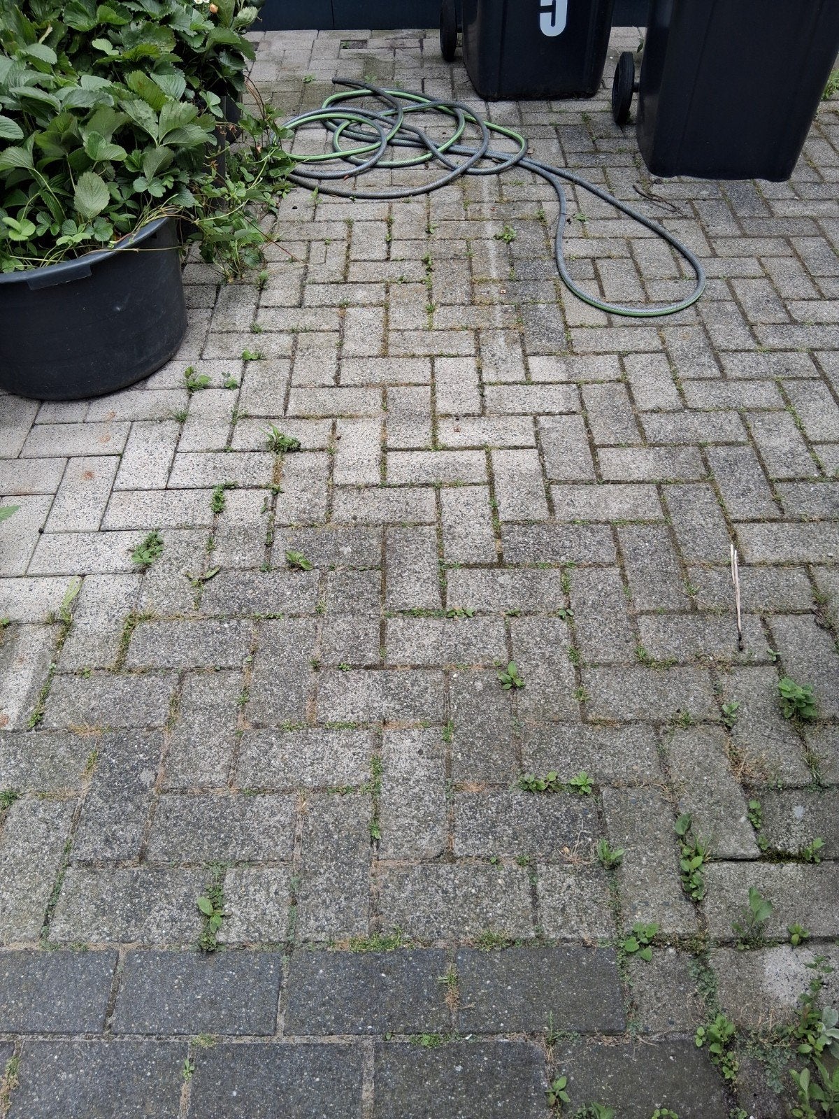 STRAATKLINKERS. GRATIS AFHALEN!!, Tuin en Terras, Ophalen, Gebruikt, 10 m² of meer, Overige typen